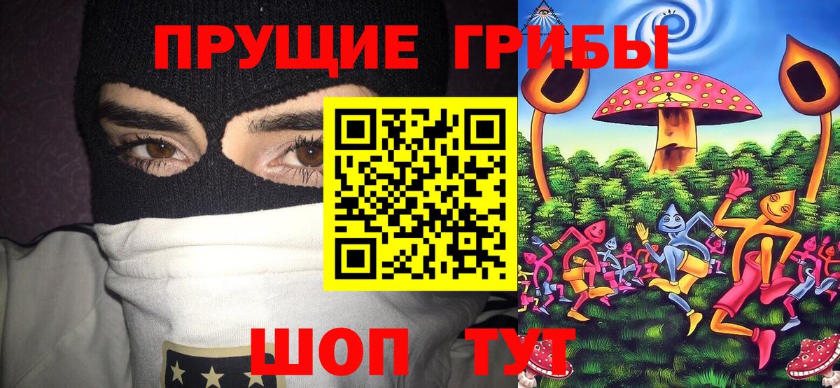 Псилоцибиновые грибы Magic Shrooms Сургут