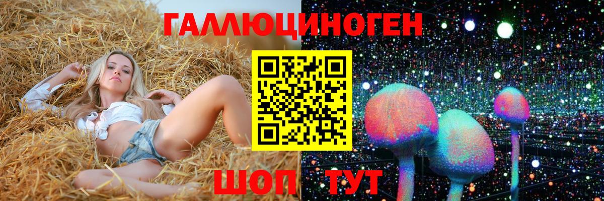 Сургут  купить  сайты  Вход с VPN  Псилоцибиновые грибы Cubensis 