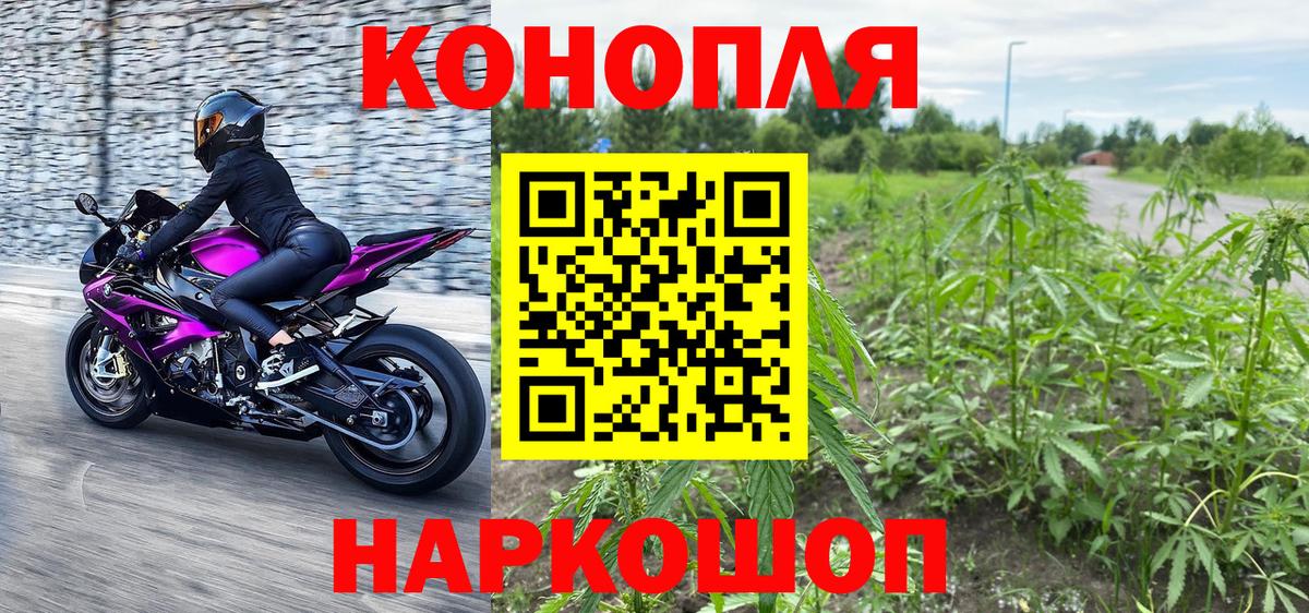 Бошки Шишки White Widow  МАРИХУАНА сатива  Сургут  Вход с VPN 
